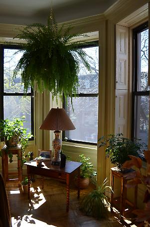 living room detail